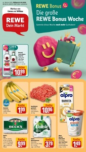 REWE Prospekt - Angebote ab 13.10.