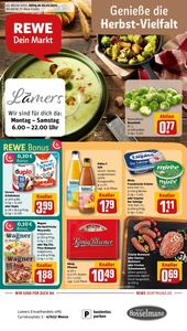 REWE Prospekt - Angebote ab 20.10.