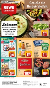 REWE Prospekt - Angebote ab 20.10.