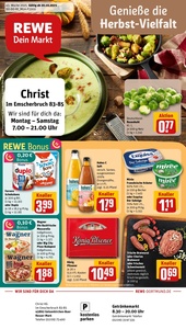 REWE Prospekt - Angebote ab 20.10.