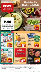 REWE Prospekt - Angebote ab 20.10.