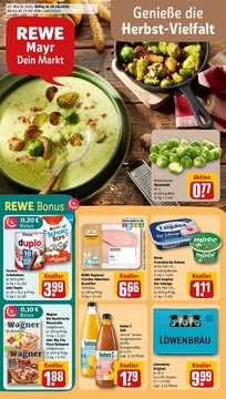 REWE Prospekt - Angebote ab 20.10.