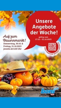 REWE Prospekt - Angebote ab 27.10. - Seite 1