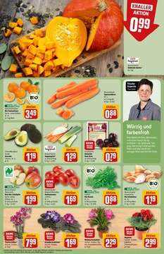 REWE Prospekt - Angebote ab 27.10.