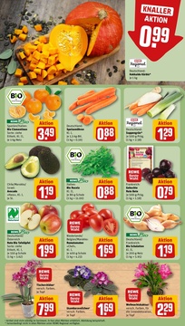 REWE Prospekt - Angebote ab 27.10.