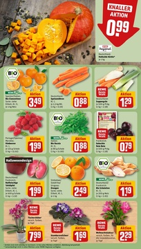 REWE Prospekt - Angebote ab 27.10.