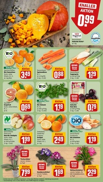 REWE Prospekt - Angebote ab 27.10.