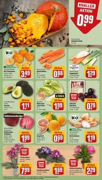 REWE Prospekt - Angebote ab 27.10.