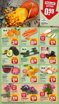 REWE Prospekt - Angebote ab 27.10.