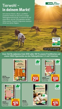 REWE Prospekt - Angebote ab 10.11.