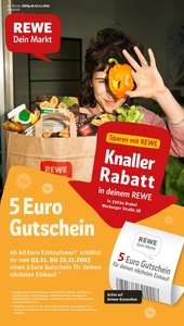 REWE Prospekt - Angebote ab 10.11.