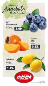 REWE Prospekt - Angebote ab 10.11.