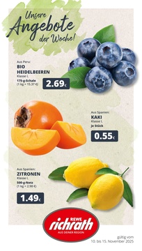 REWE Prospekt - Angebote ab 10.11. - Seite 1