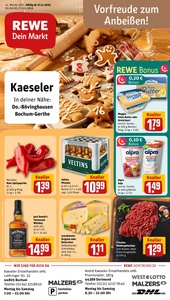 REWE Prospekt - Angebote ab 17.11.