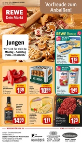 REWE Prospekt - Angebote ab 17.11.