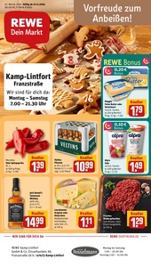 REWE Prospekt - Angebote ab 17.11.