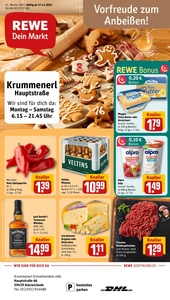 REWE Prospekt - Angebote ab 17.11.