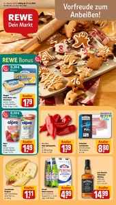 REWE Prospekt - Angebote ab 17.11.
