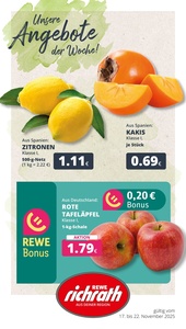 REWE Prospekt - Angebote ab 17.11.