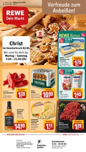 REWE Prospekt - Angebote ab 17.11.