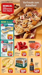 REWE Prospekt - Angebote ab 17.11.