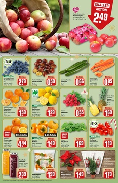 REWE Prospekt - Angebote ab 24.11.