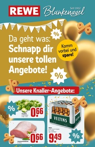 REWE Prospekt - Angebote ab 24.11.