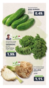 REWE Prospekt - Angebote ab 08.12. - Seite 2