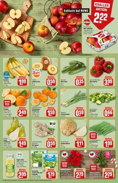 REWE Prospekt - Angebote ab 08.12.