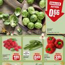 REWE Prospekt Seite 9