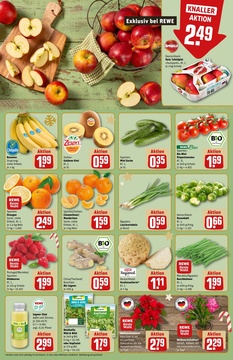 REWE Prospekt - Angebote ab 08.12.
