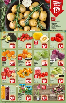 REWE Prospekt - Angebote ab 15.12.
