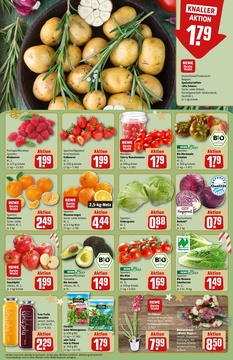 REWE Prospekt - Angebote ab 15.12.