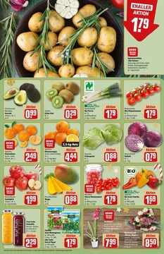 REWE Prospekt - Angebote ab 15.12.