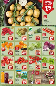 REWE Prospekt - Angebote ab 15.12.