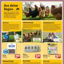 REWE Prospekt Seite 2