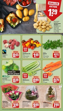 REWE Prospekt - Angebote ab 22.12.