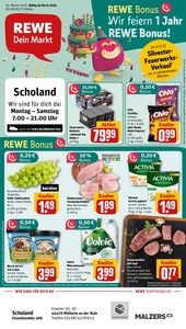 REWE Prospekt - Angebote ab 29.12.