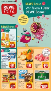 REWE Prospekt - Angebote ab 05.01.
