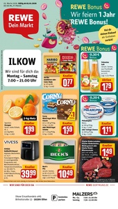 REWE Prospekt - Angebote ab 05.01.