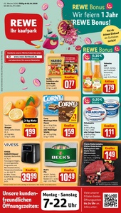 REWE Prospekt - Angebote ab 05.01.