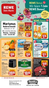 REWE Prospekt - Angebote ab 05.01.