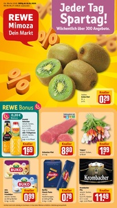 REWE Prospekt - Angebote ab 19.01.