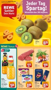 REWE Prospekt - Angebote ab 19.01.