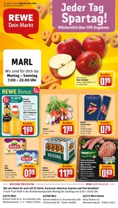 REWE Prospekt - Angebote ab 19.01.
