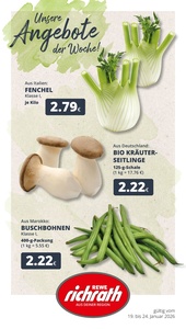 REWE Prospekt - Angebote ab 19.01.