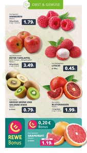 REWE Prospekt - Angebote ab 19.01.