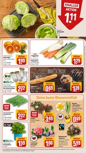 REWE Prospekt - Angebote ab 19.01.