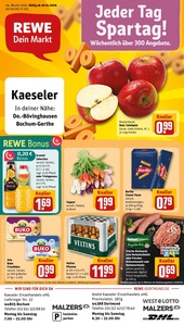REWE Prospekt - Angebote ab 19.01.