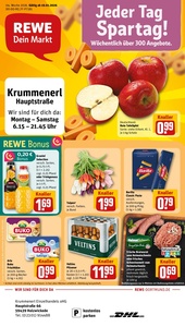 REWE Prospekt - Angebote ab 19.01.